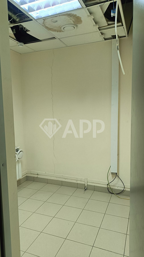 Сдам представительский офис 172 м² фото