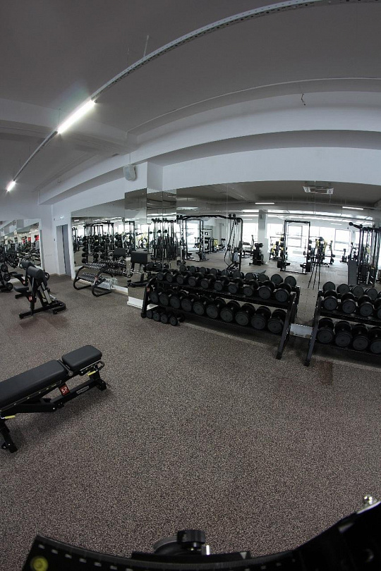 Продается готовый бизнес 4 040,4 м² фото