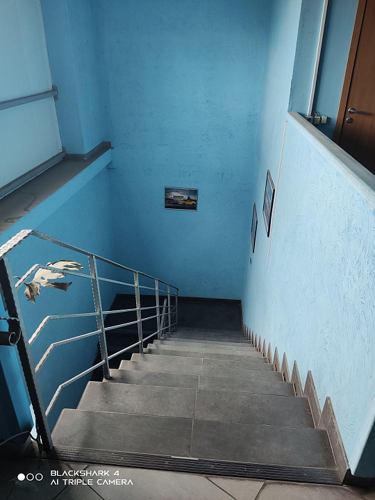 Сдам офисное помещение, 75 м² фото