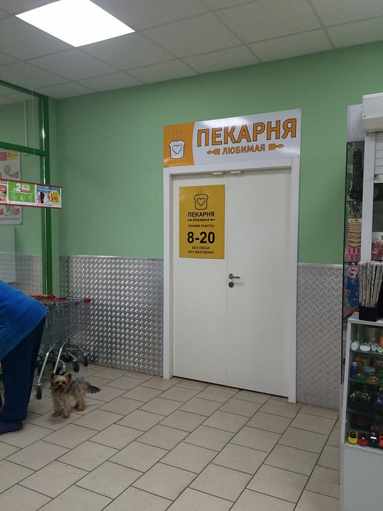 Продается помещение свободного назначения с арендаторами 1 964 м² фото