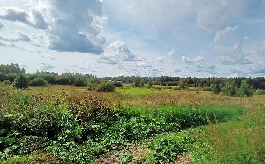 Сдам складское помещение, от 100 до1500 м² фото