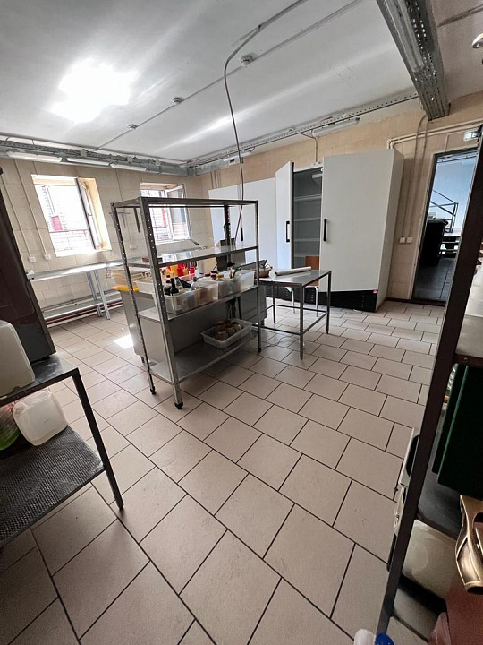 Сдается помещение свободного назначения 300 м² фото