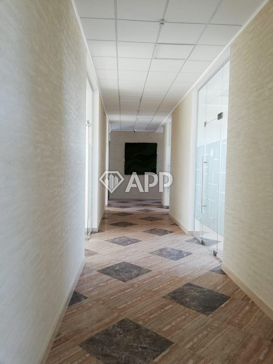 Сдам офисное помещение, 25 м². Возможна аренда от 16 до 100 м² фото