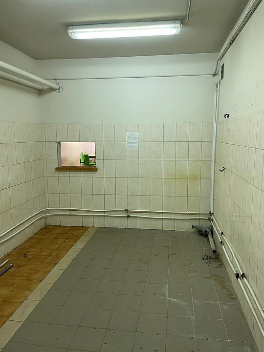 Сдам помещение общественного питания, 700 м² фото