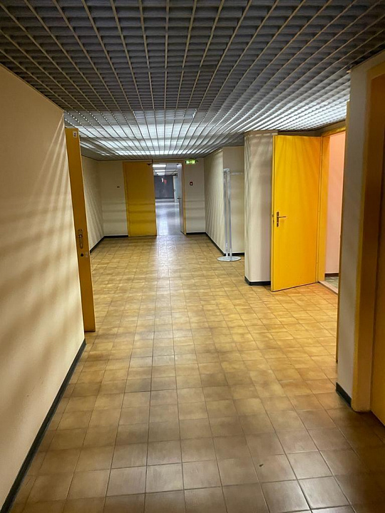 Сдам помещение общественного питания, 700 м² фото