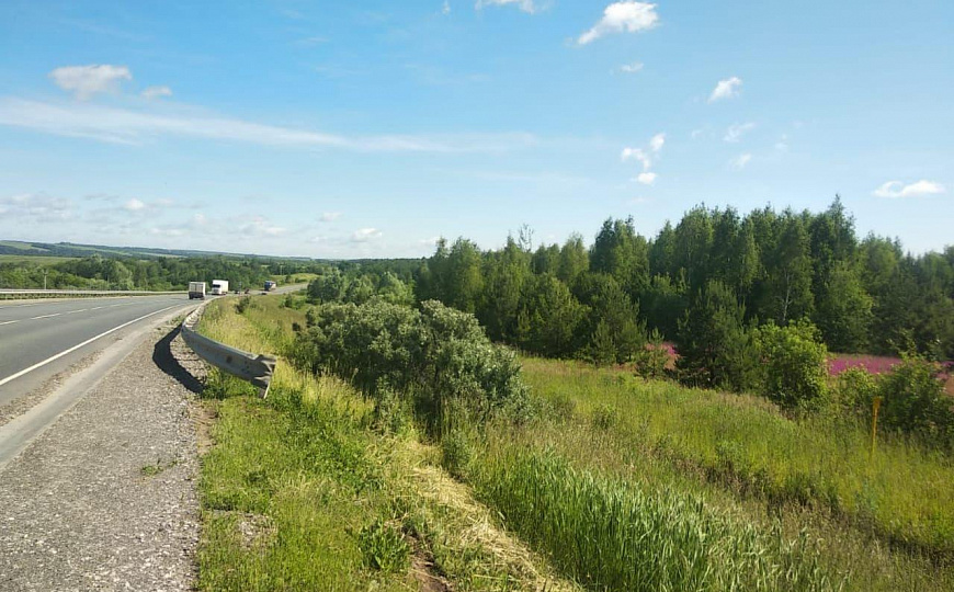 Продаются земельные участки 1 гектар фото