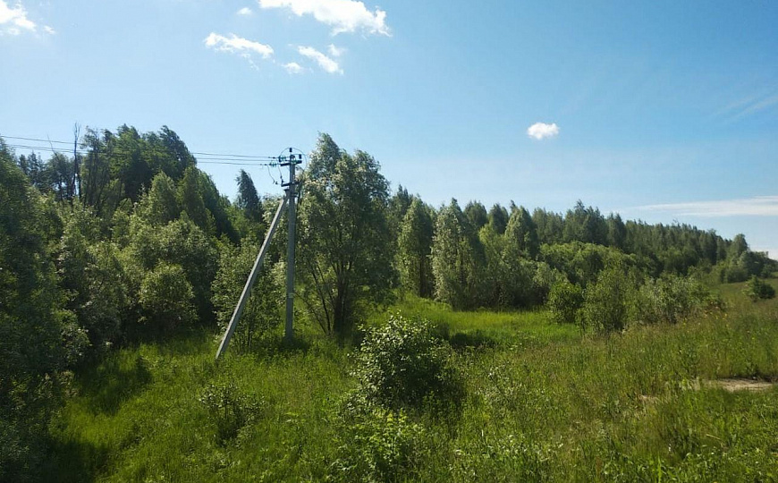 Продаются земельные участки 1 гектар фото