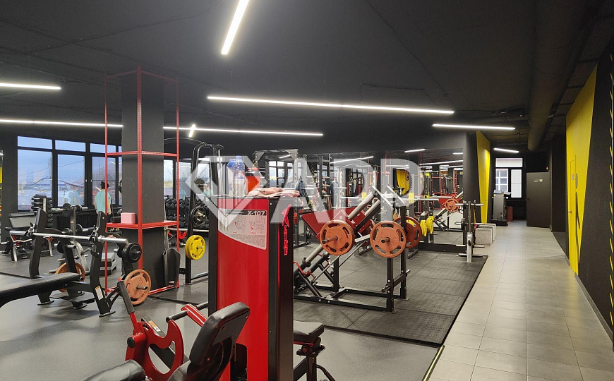 Продам готовый арендный бизнес, 865,3 м² фото