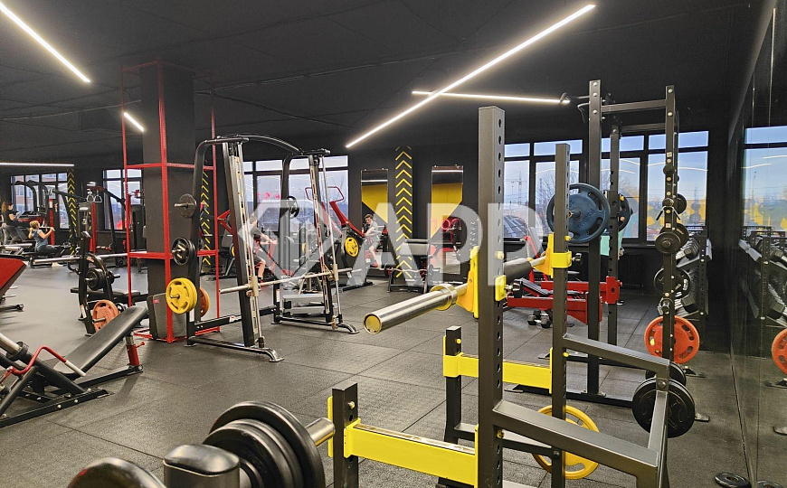 Продам готовый арендный бизнес, 865,3 м² фото