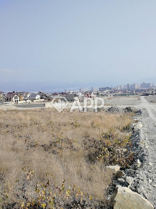 Продам земельный участок, 19,64 ар (сотка) фото