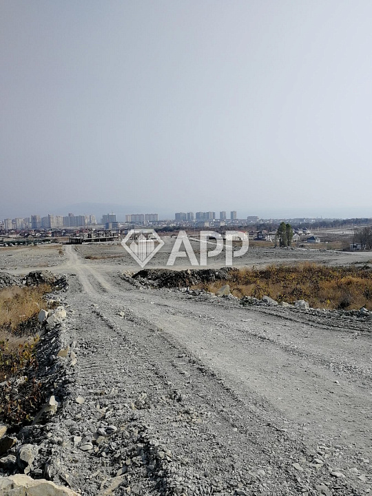 Продам земельный участок, 19,64 ар (сотка) фото