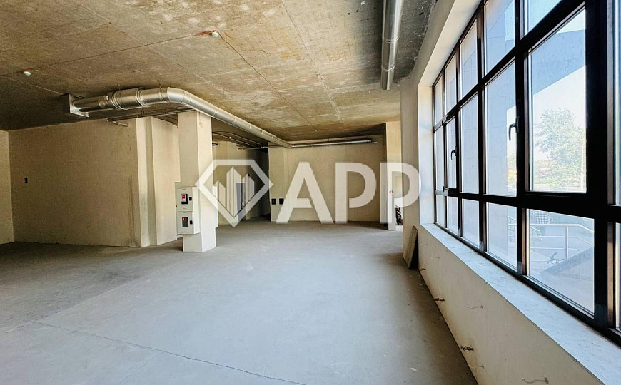 Первая линия, высокие потолки, без перегородок фото