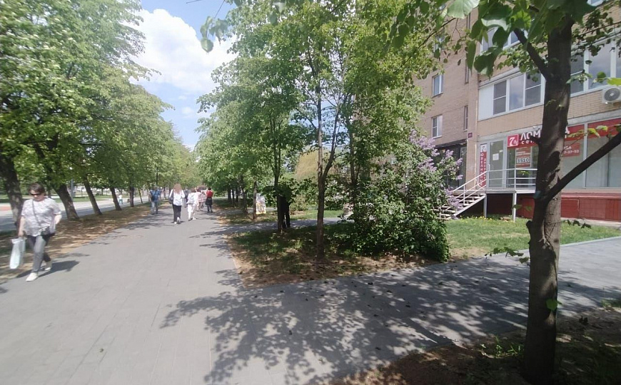 Сдам помещение свободного назначения, 20 м² фото