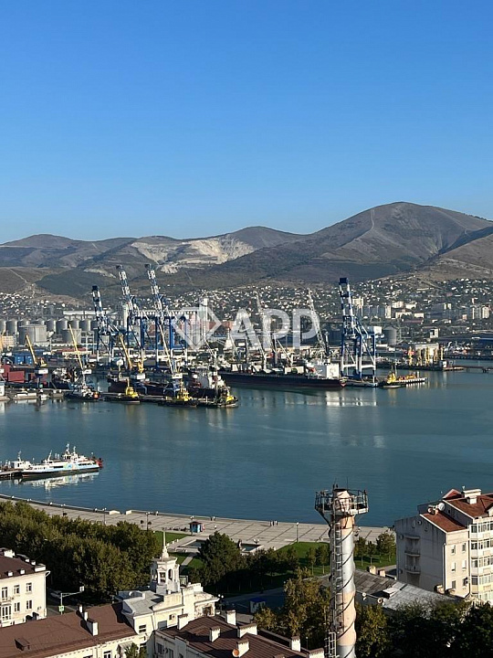 Сдам офисное помещение, до 430 м² фото