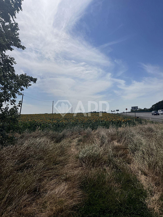 Продаю земельный участок, 10 гектар фото