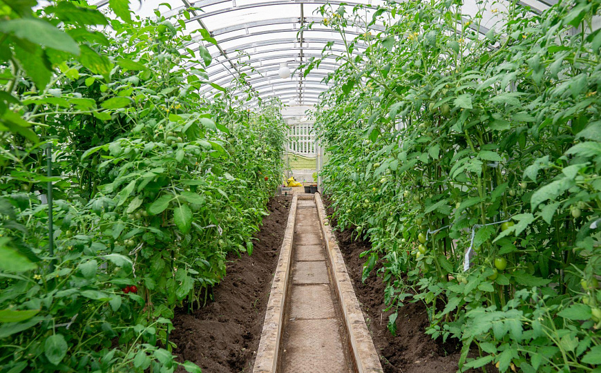 Продается шикарный частный жилой комплекс  410 м² фото