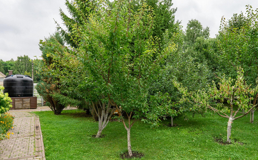 Продается шикарный частный жилой комплекс  410 м² фото