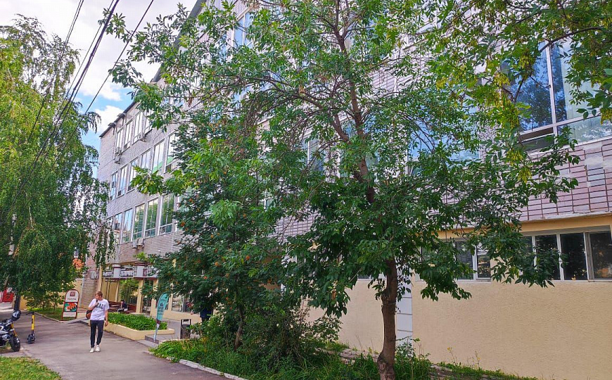 Производственное помещение, 800 м² фото