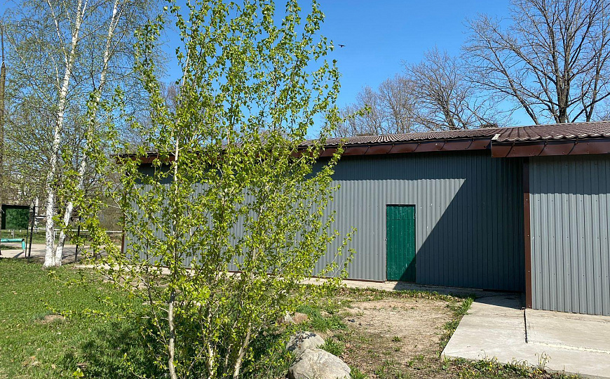 Сдаётся торговое помещение, 468 м² фото