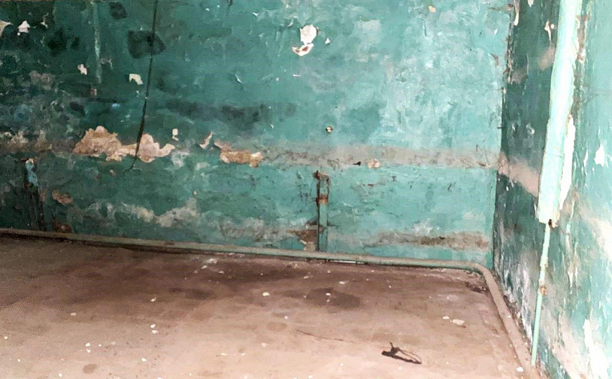 Продам подвал, 500 м² фото