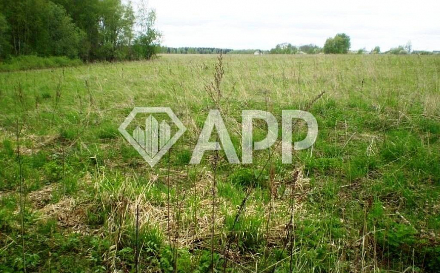Продаю земельный участок, 4,5 гектар фото