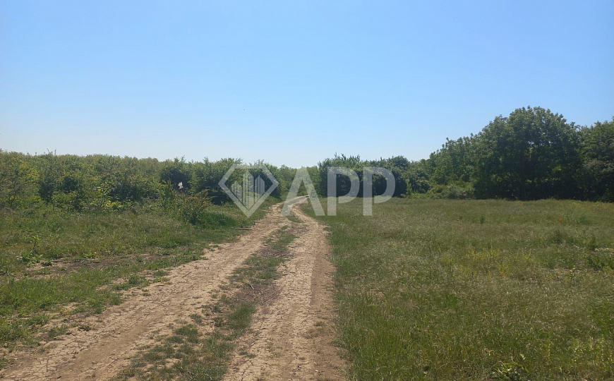 Продаю земельный участок, 4,5 гектар фото
