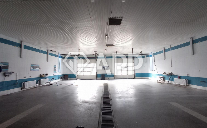 Сдам помещение свободного назначения, 380 м² фото