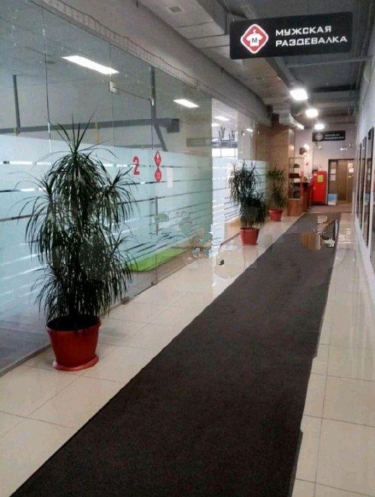 ТЦ Зебра фото