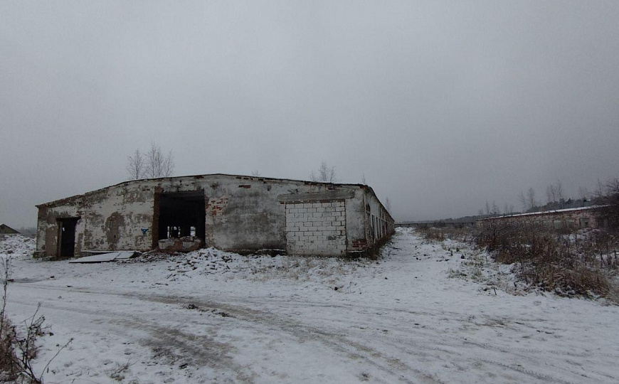 ПСН подходит для разведения животных фото