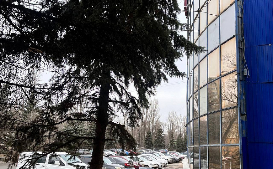 Здание, инвестиционный проект ! фото