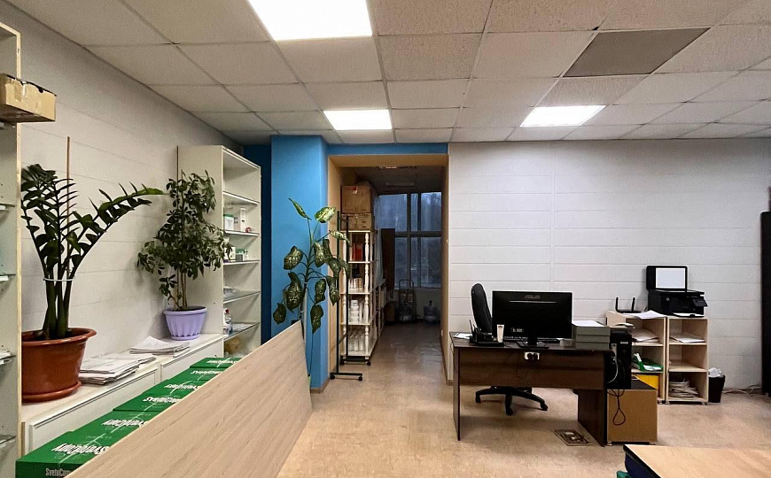 Здание, инвестиционный проект ! фото