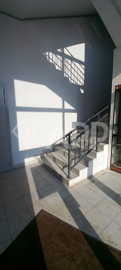 Свободная площадь под кафе, ресторан, фитнес клуб, зоо товары, детский клуб фото