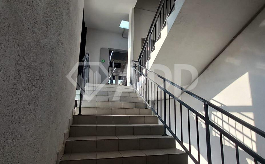 Свободная площадь под кафе, ресторан, фитнес клуб, зоо товары, детский клуб фото