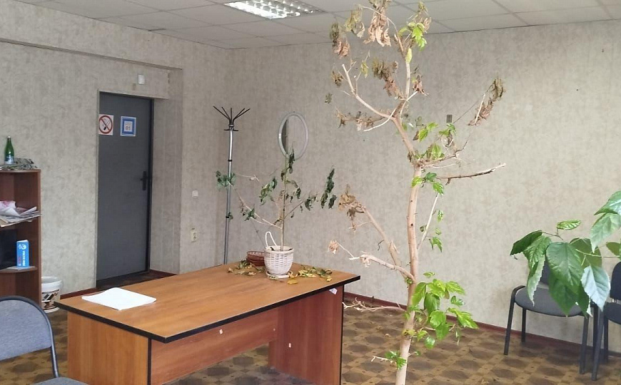 Сдам офисы в здании на Бурейской, 51 м² фото