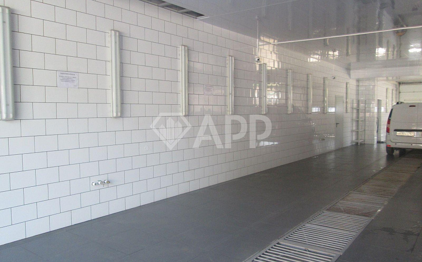 Сдам помещение свободного назначения, 150 м² фото
