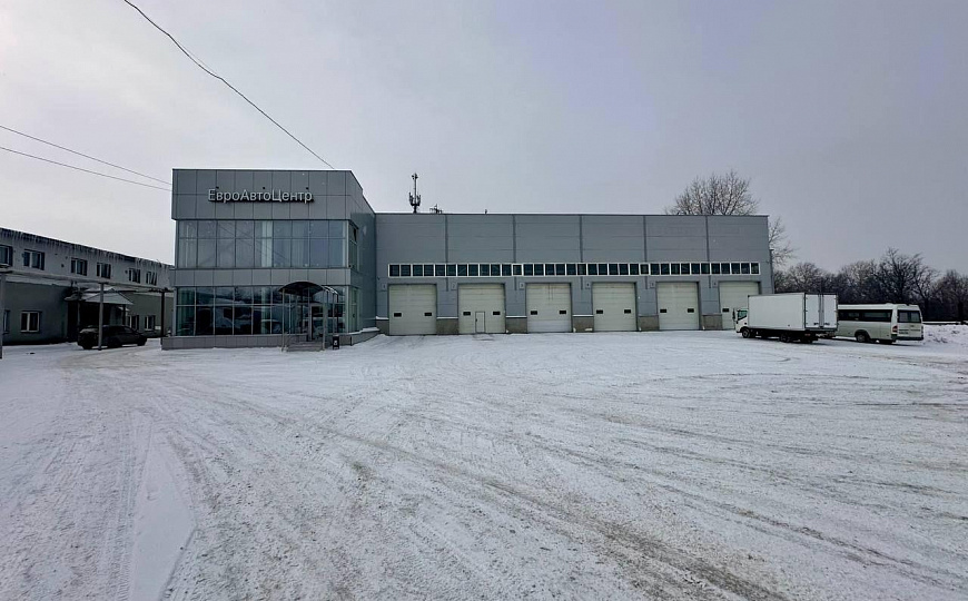Продажа готового бизнеса 8000 кв.м. в п.Береза фото