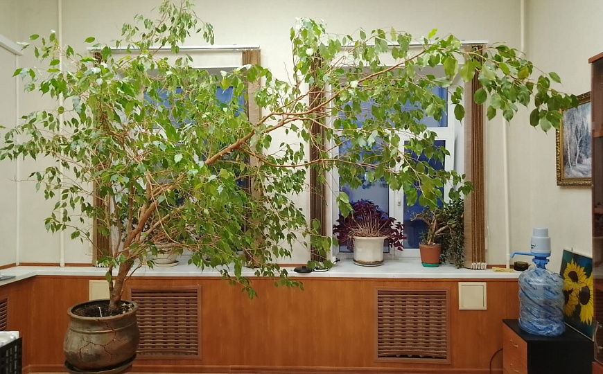 Продам бизнес-центр/офисный центр, 637 м² фото