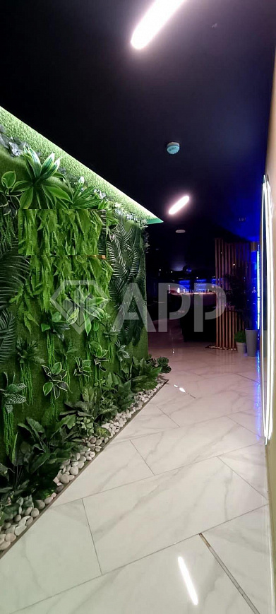 Продается  помещение с арендатором на ул.Пушкина/Профсоюзная фото