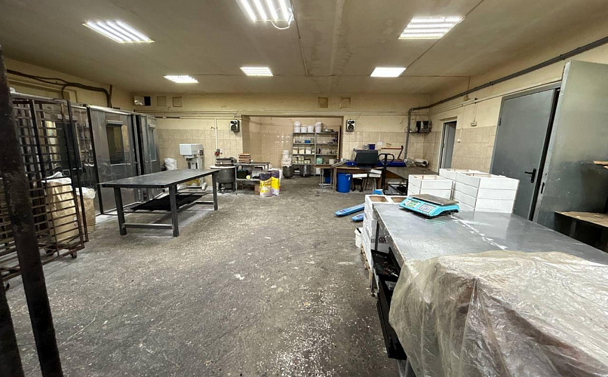 Продам отдельно стоящее здание, 563 м² с ЗУ и действующим производством !!! фото