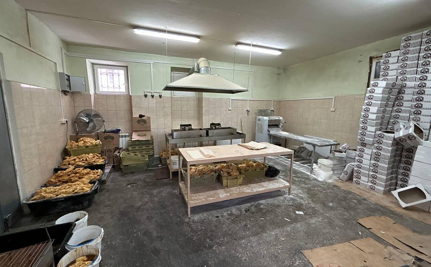 Продам отдельно стоящее здание, 563 м² с ЗУ и действующим производством !!! фото