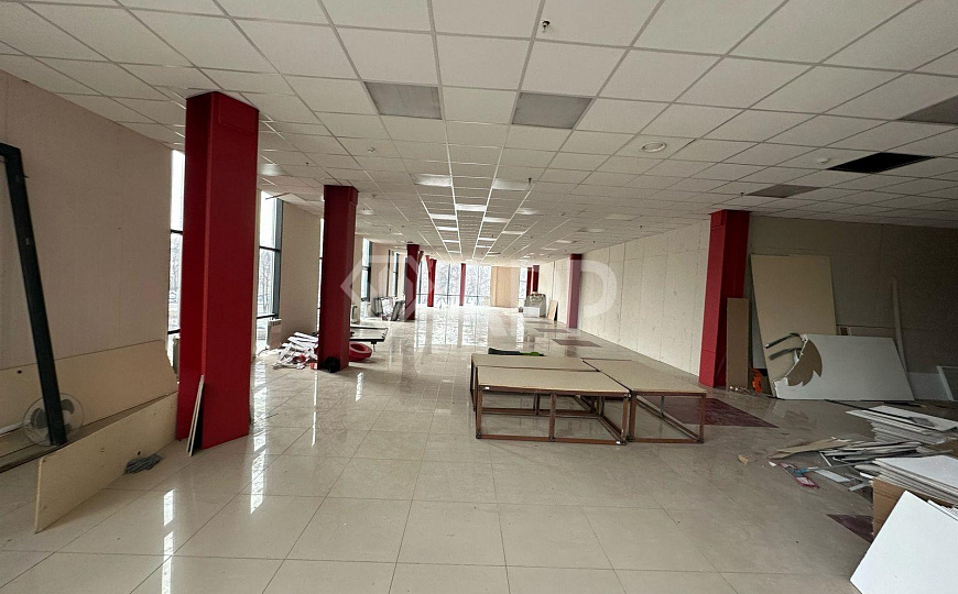 Сдам помещение свободного назначения, 303 м² фото