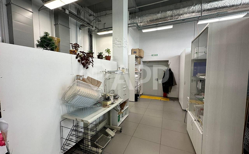 Сдам помещение свободного назначения, 150 м² фото