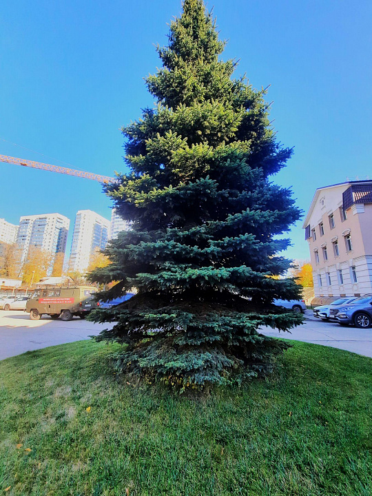 Помещение свободного назначения, 3 539 м² фото