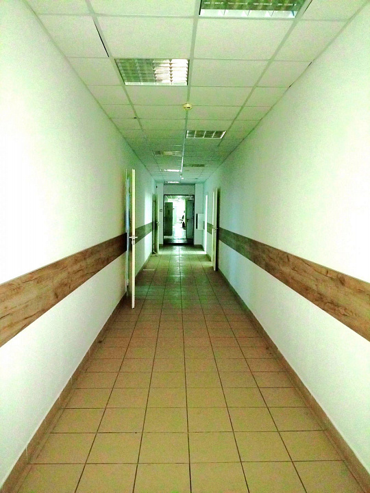 Сдам бизнес-центр/офисный центр, 1 253,1 м² фото