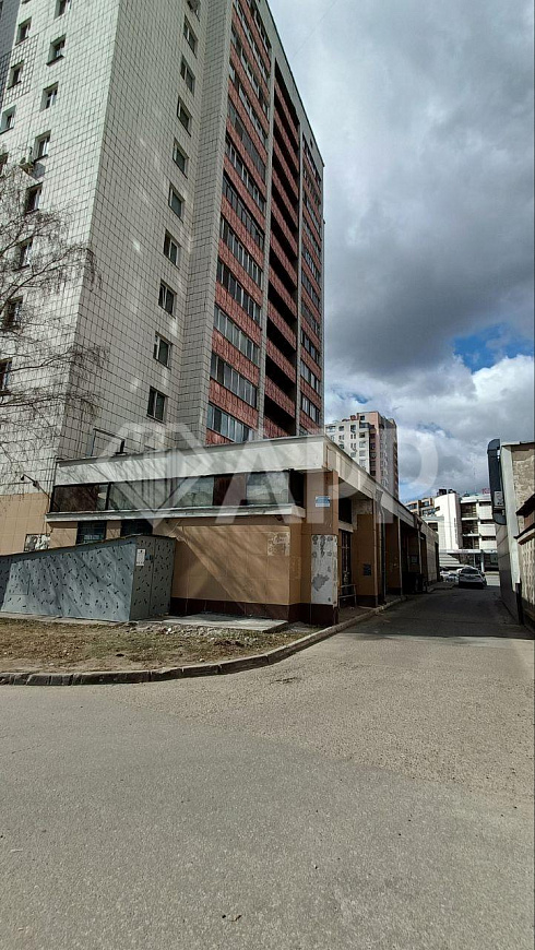 Помещение 242 м² на Вишневского фото