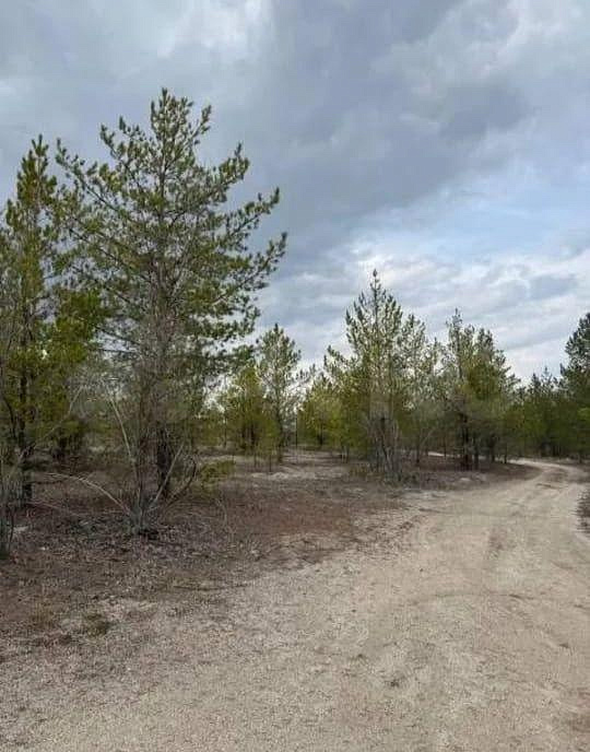 Продается видовой участок на 1ой береговой линии, 1.9 Га фото