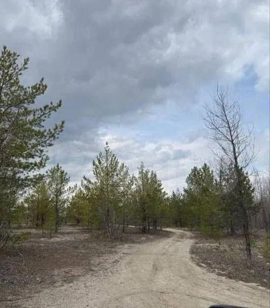 Продается видовой участок на 1ой береговой линии, 1.9 Га фото