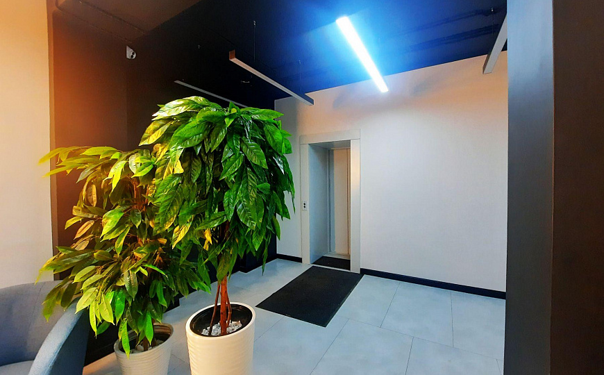 Сдам офисное помещение, 51,3 м² фото