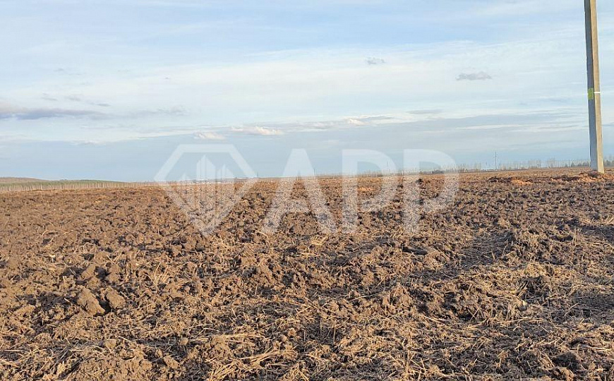 Продам земельный участок  СНТ  600 ар (сотка) фото