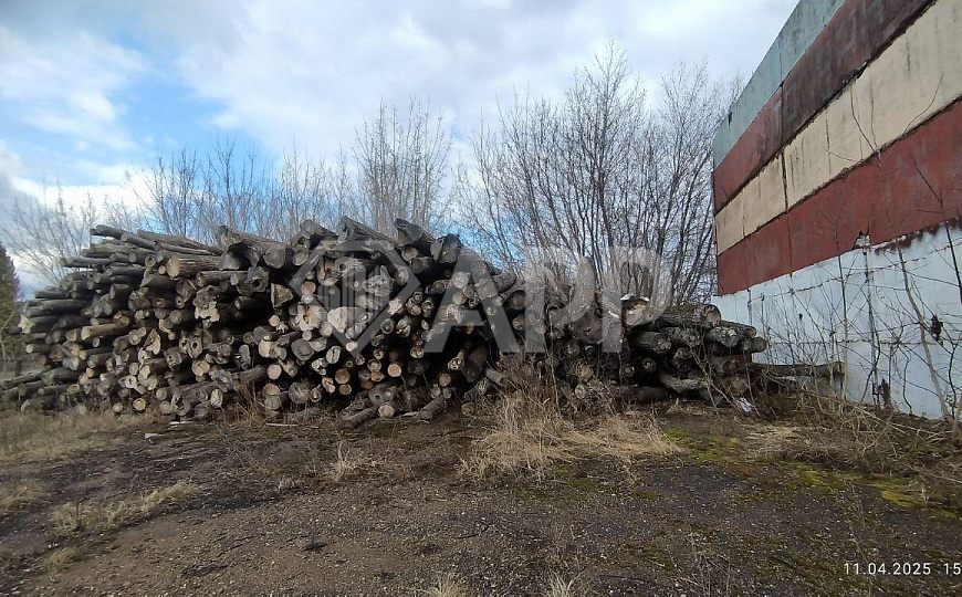 Земля и здание промназначения фото